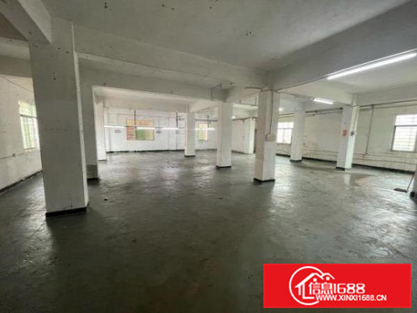 一手房东，小型厂房出租，能环评