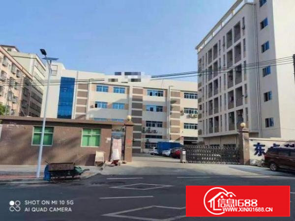 独门独院厂房，有车位，采光好，