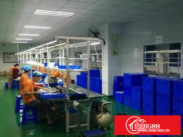 龙岗坪地花园式厂房适合生物医疗研发科技实验室等