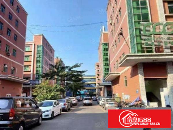 龙华大浪龙观快线边一楼1400平带牛角厂房出租。