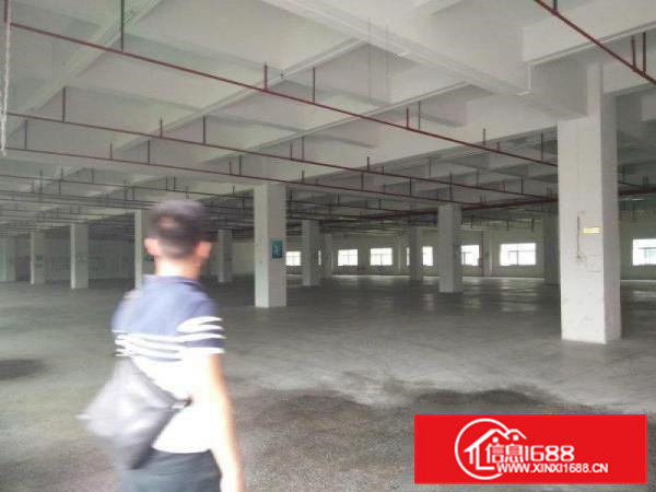 凤岗一楼600到2000平米6.5米高厂房出租