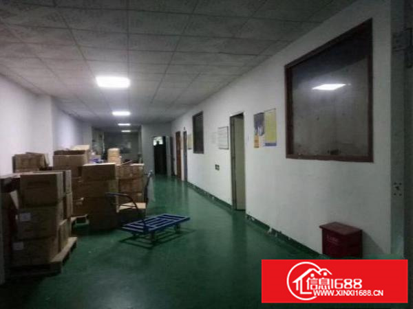 西乡九围簕竹角鹤洲附近带装修厂房整层1900平米