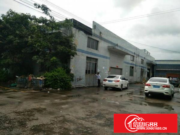 （招租）惠阳秋长新出装修钢构厂房1300平米工业园