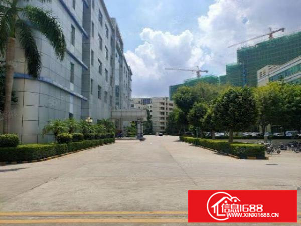 布吉李朗独门独院工业园仓库厂房出租精装修厂房出租面积可分租