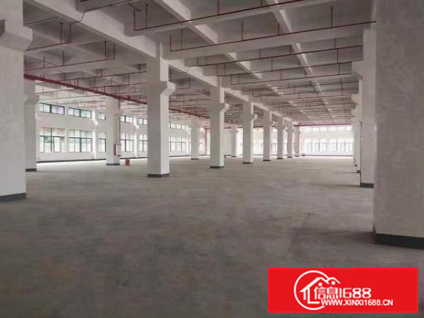 一楼带牛角，带喷淋，空地