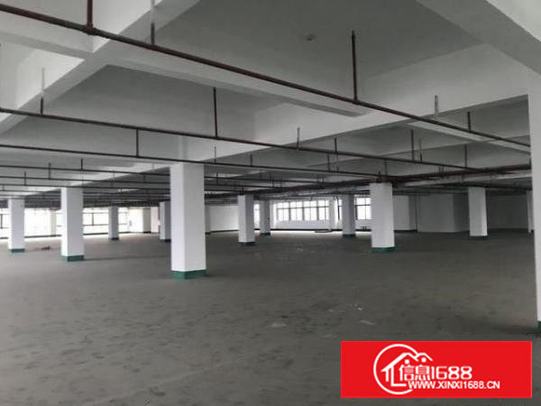 成熟工业园，主干道旁边，好招工空间大水电齐全，主线到车间