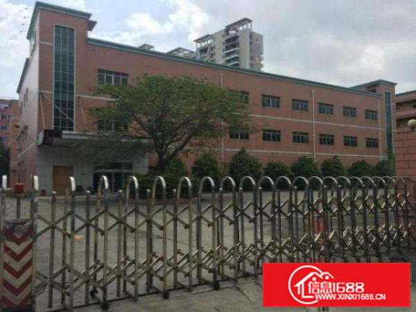 原房东凤岗工业区一楼650方带牛角办公室，高度6米，空地大