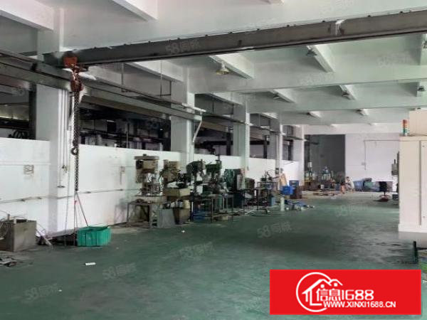 凤岗临深原房东独院3000平实际面积出租,大小可分组