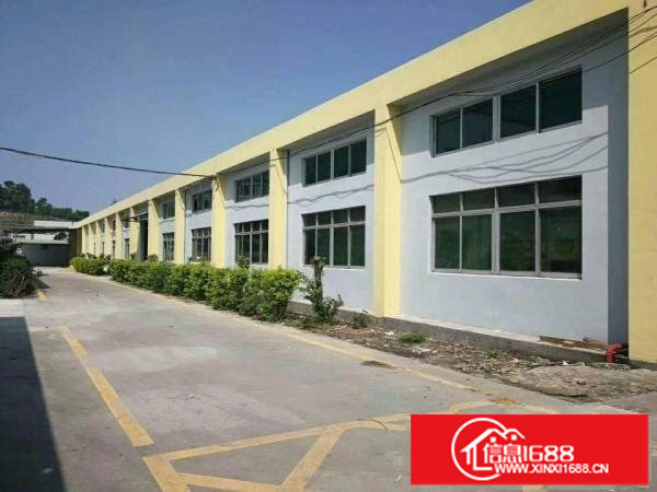 龙岗坪地1000平方一楼钢构滴水7米业主直租