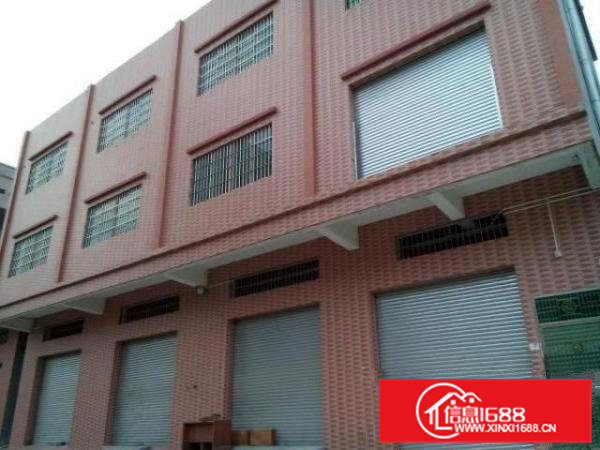 出租高埗冼沙村标准厂房1栋（非中介）