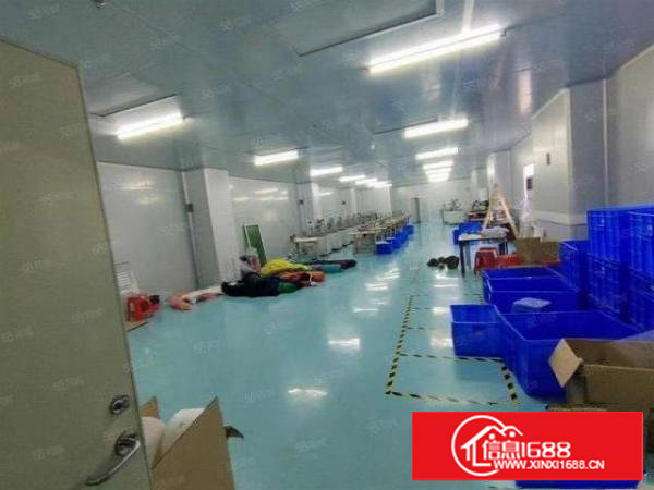 塘厦桥陇社区原房东无尘车间600平出租带精装修有红本