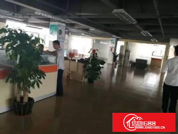 仲恺陈江独门独院3600平方厂房，空地大，形象好