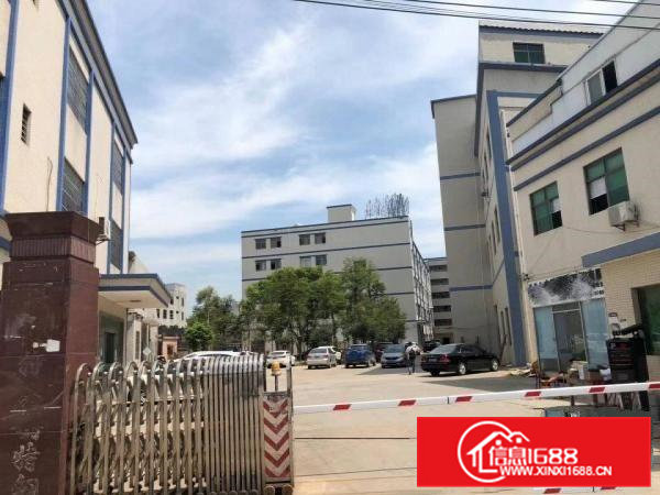 免中介费！大岭山原房东实际面积2200平厂房出租水电齐全