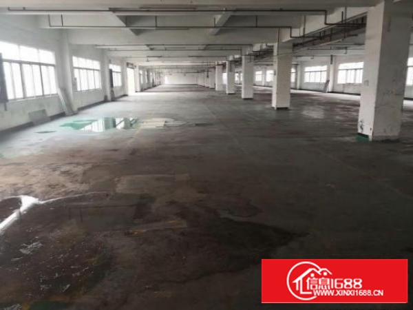 万江500-3000平独院标准厂房可以任意分租配电按需