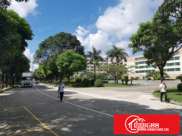 布吉李朗红本厂房3楼1500平出租，精装修，租金23元一平