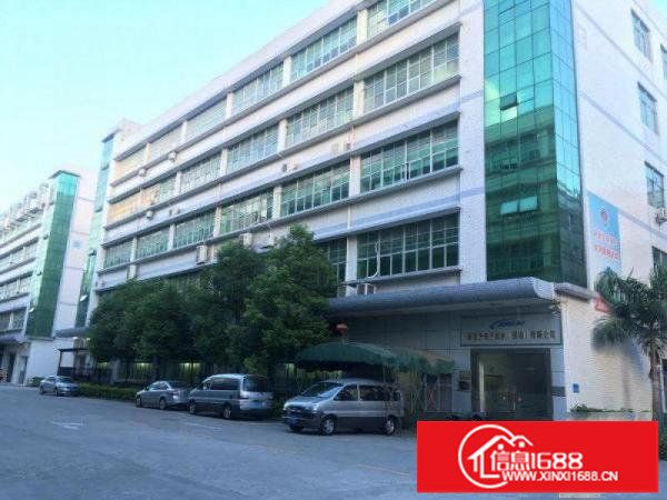 观澜现成隔墙240平方带办公室装修出租