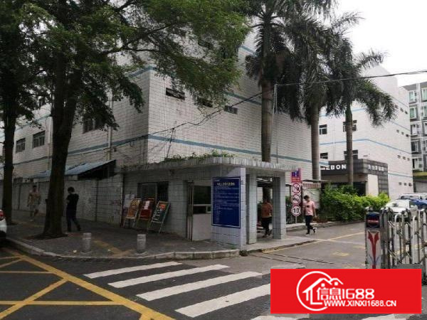 坑梓宝红路12-1厂房3000平可分租