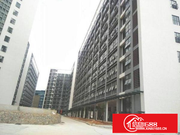 龙岗区新出15万平全新标准厂房出租，