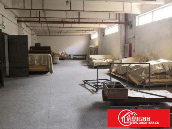 观澜章阁.观光路旁带装修.现成喷淋.三楼650平方厂房出租