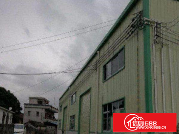 常平桥沥单一层钢构厂房1100平米招租近大马路