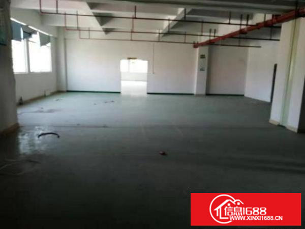 大浪新出龙泉工业区一楼300平6米高适合做五金模具行业