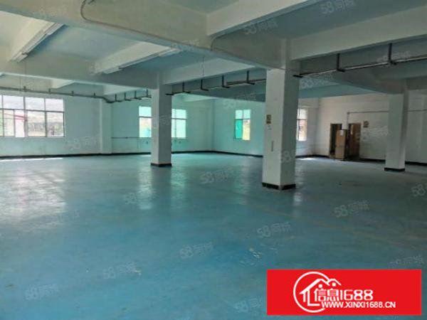 零公摊！9年合同！深圳坪山新空出原房东5000平独院厂房出租