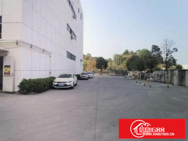 临深凤岗红本厂房可做学校50000平空地超大