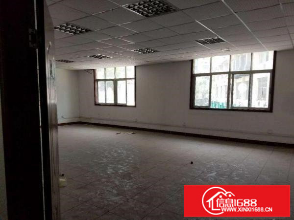 坂田吉华路电商办公仓1200带装修（免佣）