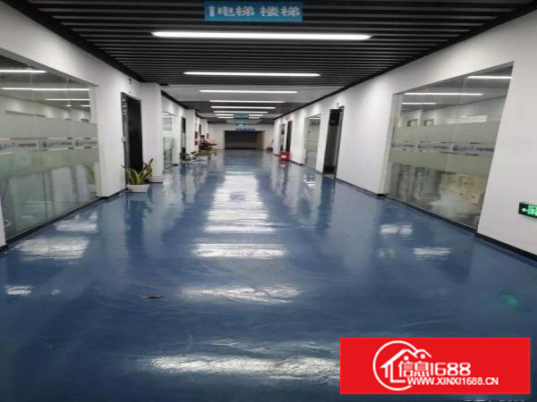 华南城地铁口，新出280平等精装电商贸易办公楼，可办公可仓库