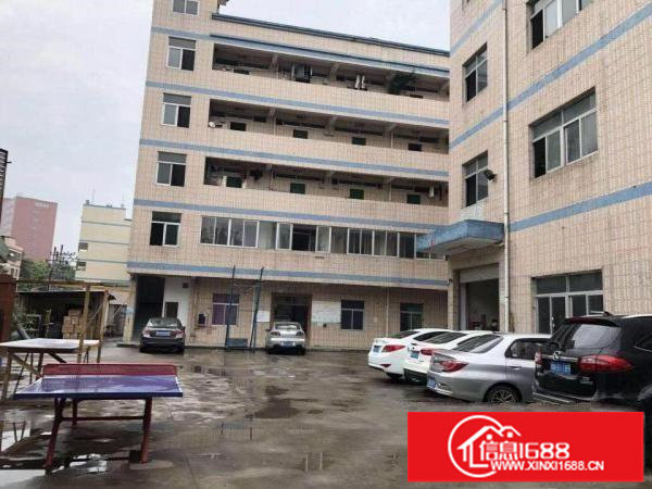 龙岗坪地新出6600平方红本独院厂房出租