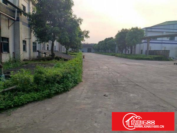 惠州市龙溪镇电镀基地附近大型工业园钢构厂房出租