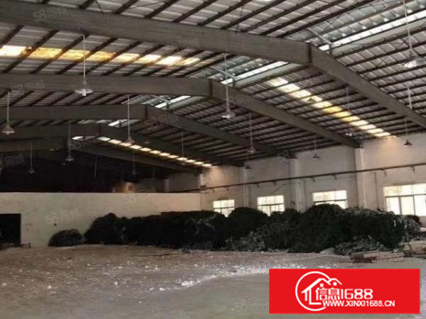 横沥新出原房东单一层900平方8米高实际面积，电费6毛一