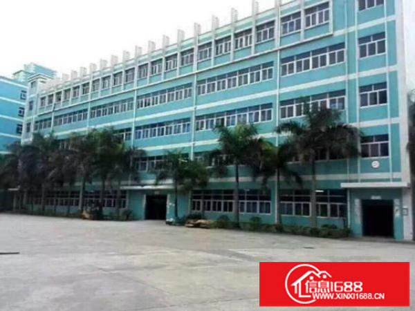 出租龙岗坪地国际低碳城工业园招商1千平米分租适合科研，办公