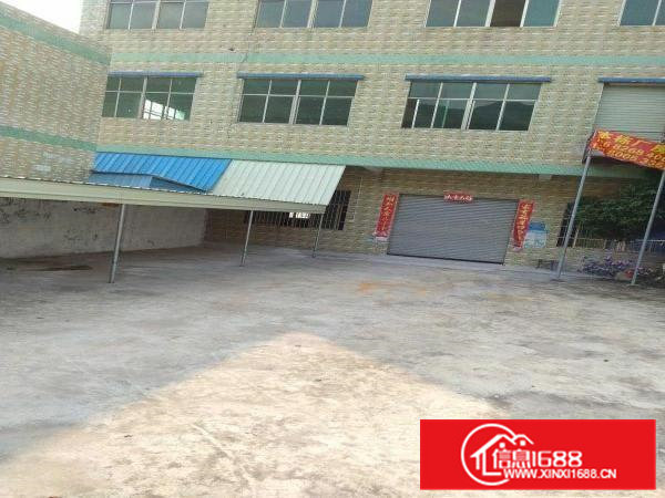 横沥张坑求雨岭独栋原房东独栋三层共1200平招租