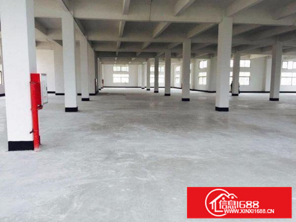 出白石工业区独门独院厂房2000平形象好