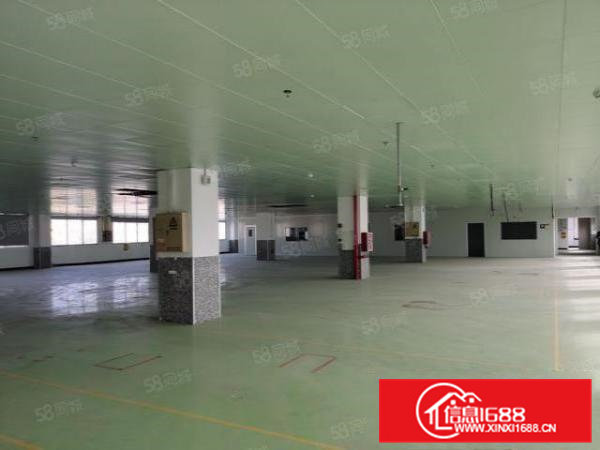 常平独院厂房带现成塑胶喷油硅胶注塑等多个环评面积5000