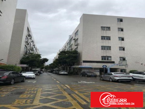 大浪行政中心1000平带家私精装修适合办公电商研发