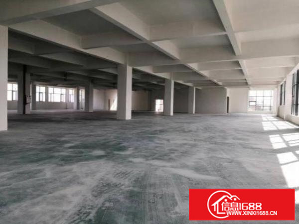 全新厂房，六楼可办公试用于任何行业