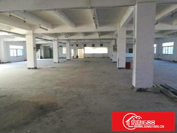 东莞常平新出原房东独门独院标准厂房3600平方出租