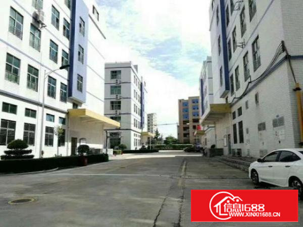 沙井新桥第三工业区一楼600平二楼520平无转让费厂房出