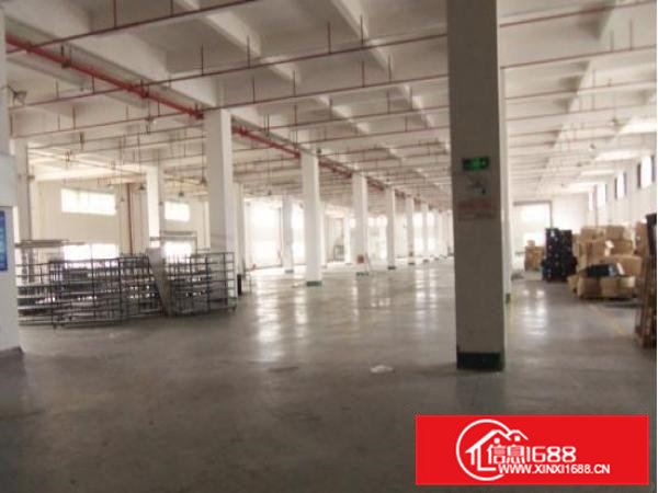 东莞寮步新出原房东独院标准厂房4500平方出租