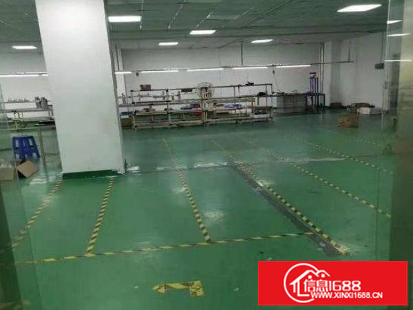 沙荷路2楼带装修560平方厂房出租