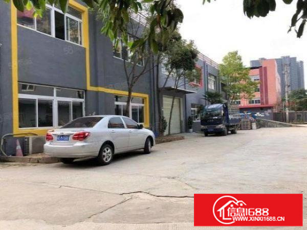 大岭山石大路标准一楼900平，带装修，拎包入住！