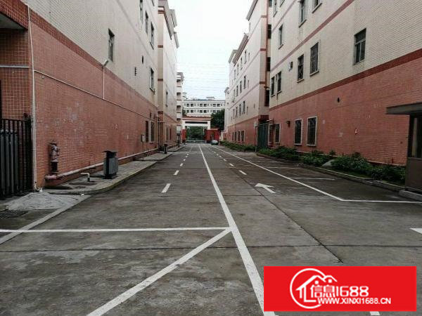 龙岗宝龙工业城有红本独院厂房招租