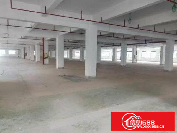 横岗228红本独立园区楼上4100平23元包出租