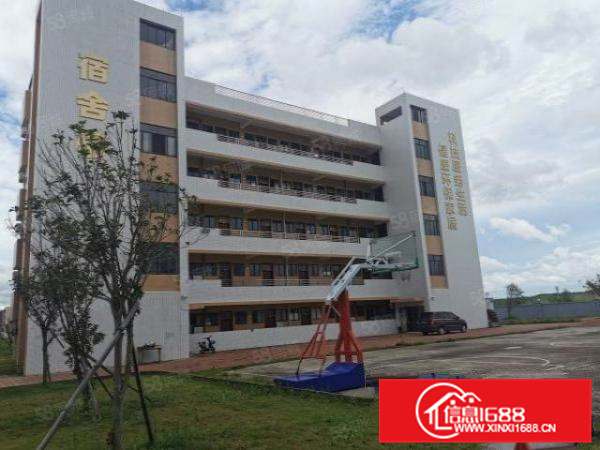 独栋别墅式顺德区杏坛镇高新区厂房出租空地免费使用