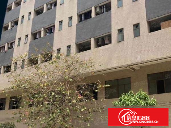 伦教工业区楼层式厂房9500方出租