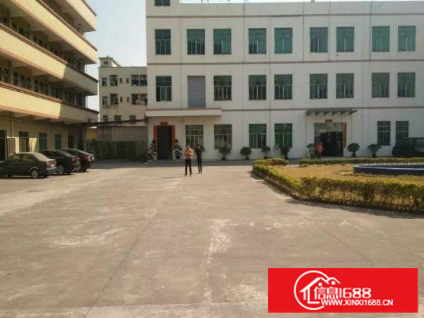 常平靠大朗1至3层10500平方带豪华装修厂房招租