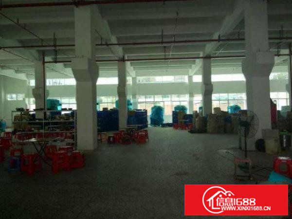 凤岗形象好标准厂房500-5000㎡