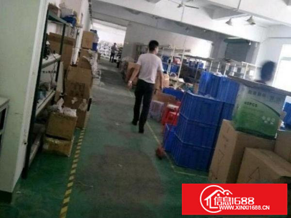 出租布吉康桥1300平方带装修